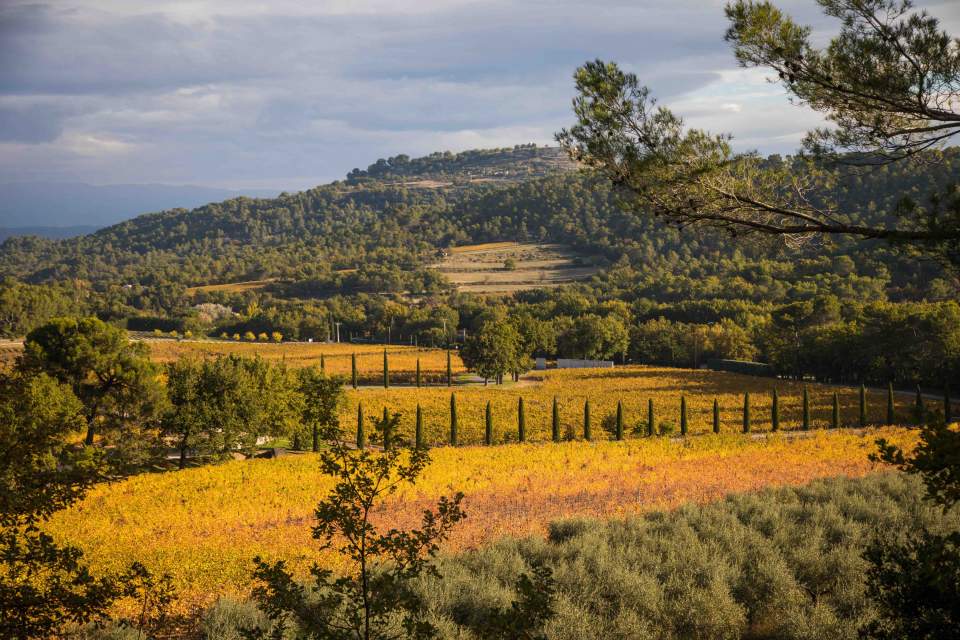 Wine estate