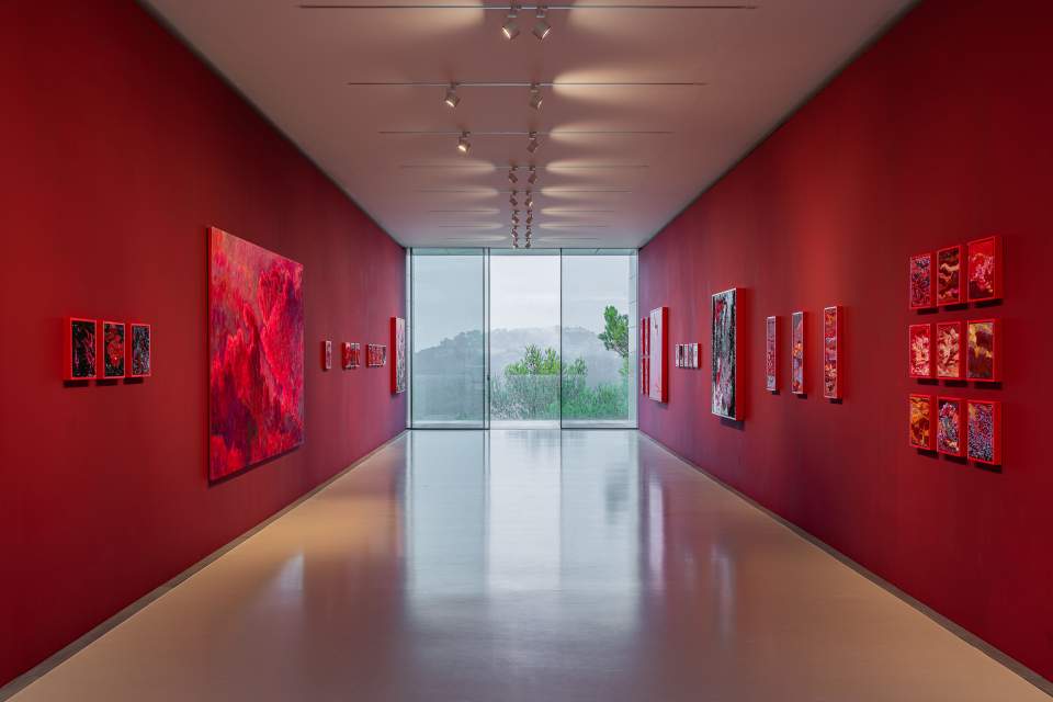 Nos<br />
expositions